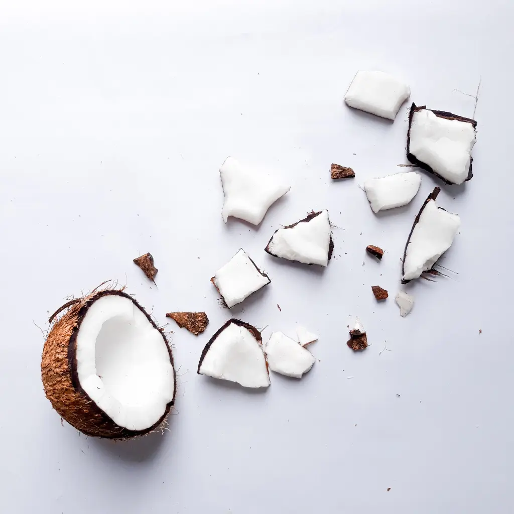 coconut.webp